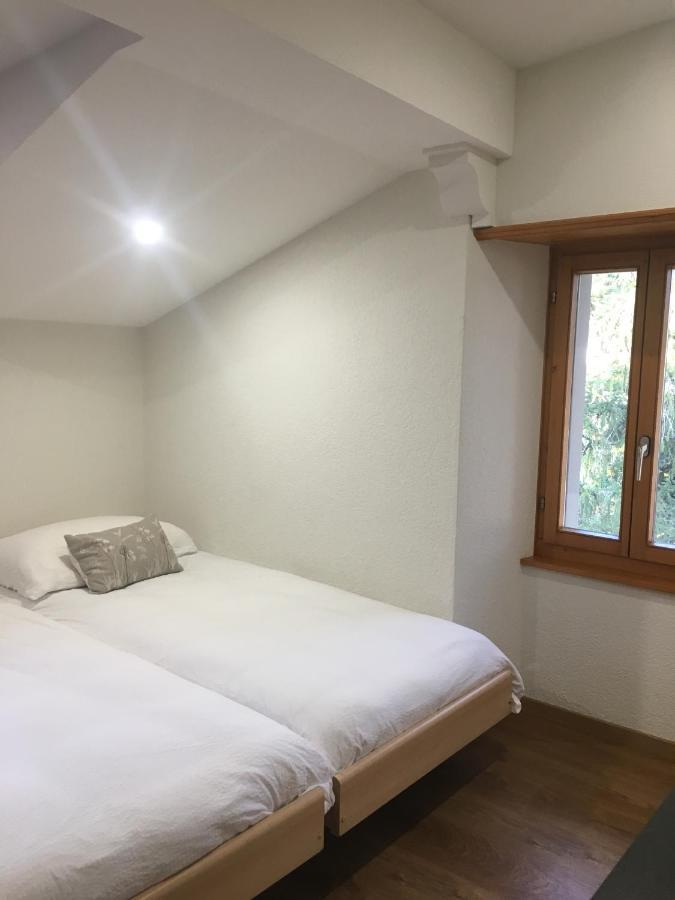 La Dent-Du-Midi Hotel & Restaurant サン・モーリス エクステリア 写真